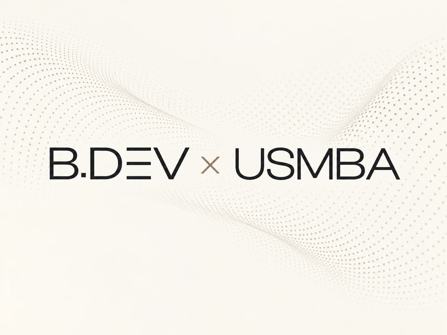 B.DEV × USMBA project identity artwork